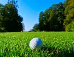 Learn why you need golf lessons if you want to learn how to golf. Taking golf lessons is the best way to learn the perfect golf swing for beginner adults.