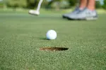 With an indoor putting green for home, you can perfect your technique and improve your golf game.