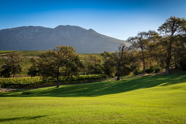 Beautiful golf course 2