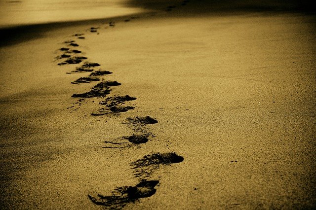 Footprints from walking Footprints from walking
