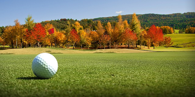 Golf ball on the fairway in the fall Golf ball on the fairway in the fall