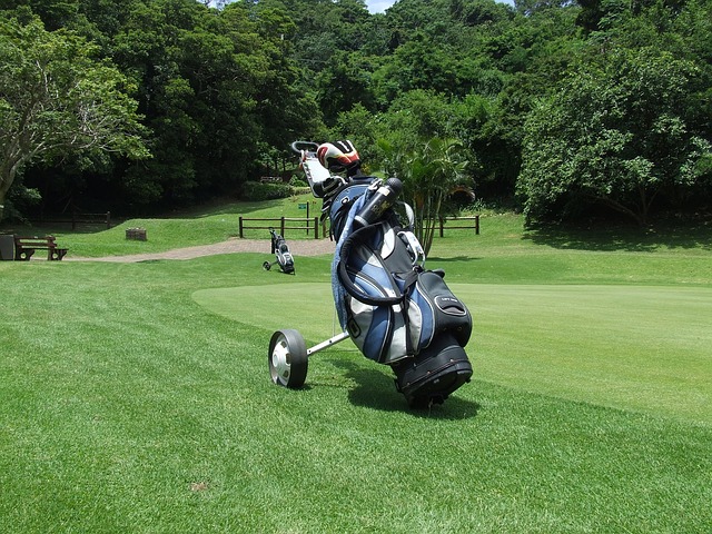 Black, blue and grey golf cart bag.